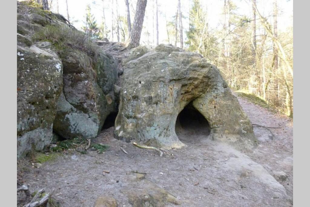 Le repaire des belettes Vallée de Rabais Virton Exterior foto